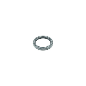 O-ring with dust lip for vacuum pump